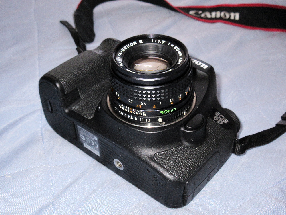 非常に久しぶりに３Ｄプリンターで製作されたマウントアダプターを用い、Canon EOS 6D + MAMIYA-SEKOR E 50mm/F1.7  でフルサイズデジタル撮影をしてみました。感動的に美しい画が得られましたぞ～ヽ(' ∇' )ノ ♪: カメラと写真と猫と